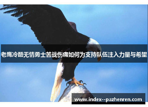 老鹰冷酷无情勇士苦战伤痛如何为支持队伍注入力量与希望