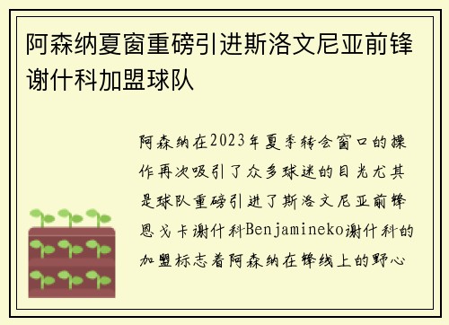 阿森纳夏窗重磅引进斯洛文尼亚前锋谢什科加盟球队 阿森纳夏窗重磅引进斯洛文尼亚前锋谢什科加盟球队